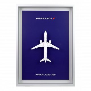 Air France Shopping : Bagagerie, maquettes, et bien plus encore