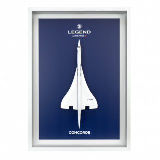 Air France Shopping : Bagagerie, maquettes, et bien plus encore