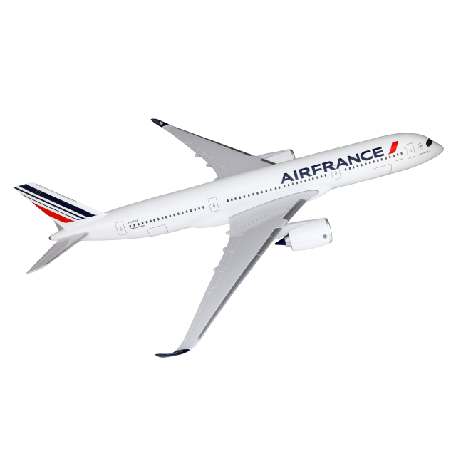 【非売品】PACMIN AirFrance A350-900 1/20 Air France Shopping : Bagagerie, maquettes, et bien plus encore
