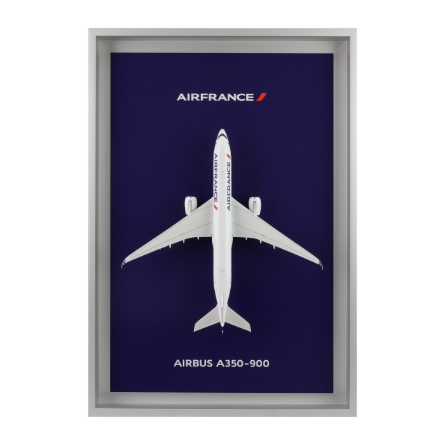 Air France Shopping : Bagagerie, maquettes, et bien plus encore