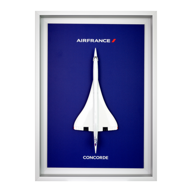 Air France Shopping : Bagagerie, maquettes, et bien plus encore