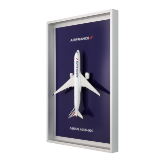 Air France Shopping : Bagagerie, maquettes, et bien plus encore