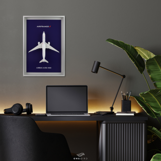 Air France Shopping : Bagagerie, maquettes, et bien plus encore