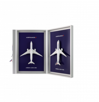 Air France Shopping : Bagagerie, maquettes, et bien plus encore