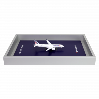 Air France Shopping : Bagagerie, maquettes, et bien plus encore