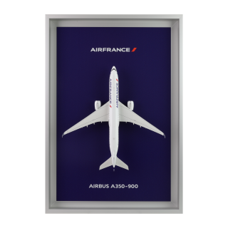 Air France Shopping : Bagagerie, maquettes, et bien plus encore